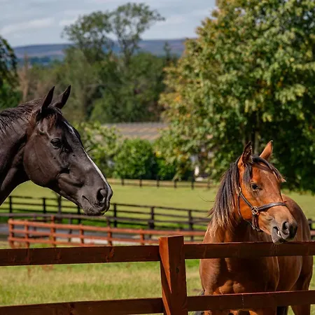 Melody Constable Burton