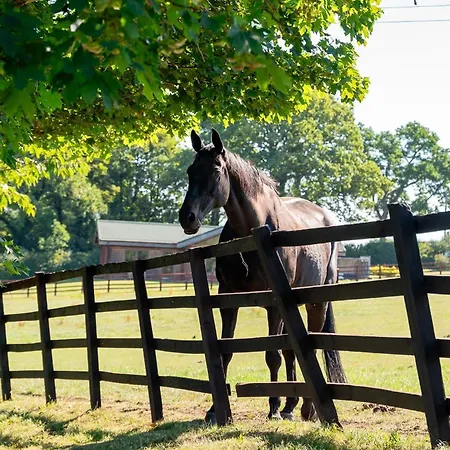 펜션 Melody Constable Burton
