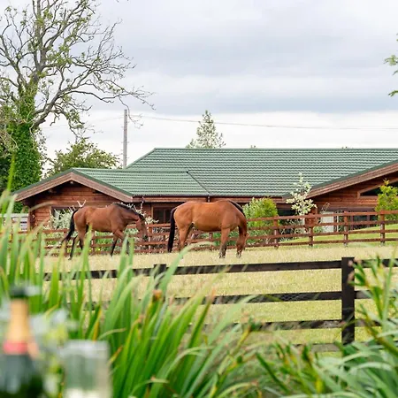 Semesterbostad Melody *