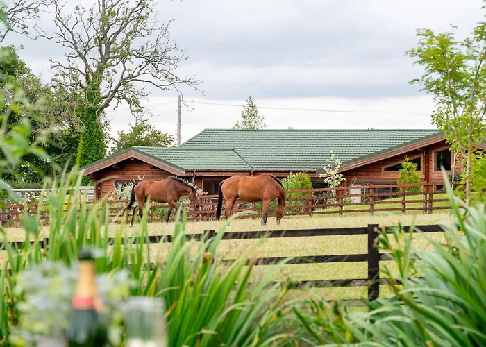 Semesterbostad Melody *